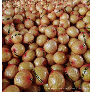 Fresh Fruit Organic Honey Pomelo High Quality with Gap Certificate